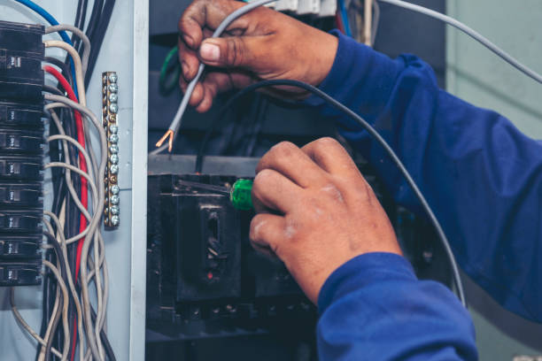 Best Licensed Electrician  in Charlotte, MI