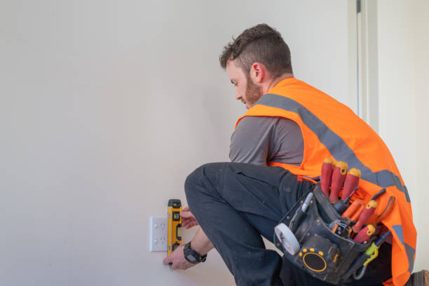 Best Affordable Electrician  in Charlotte, MI